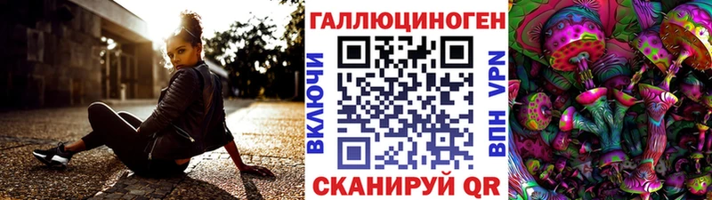 закладки Пошехонье Галлюциногенные грибы MAGIC MUSHROOMS